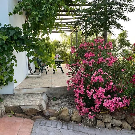 Casa Loire シャレー マラガ